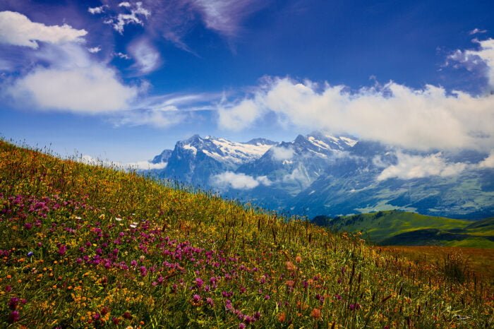 Männlichen mountain