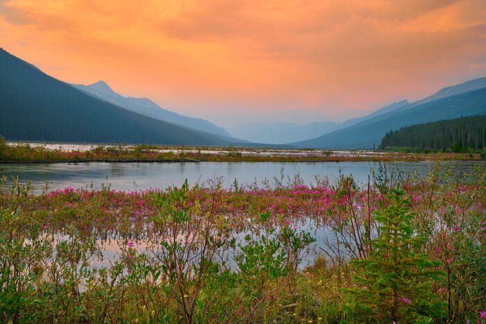 Athabasca River Jasper Alberta Canada